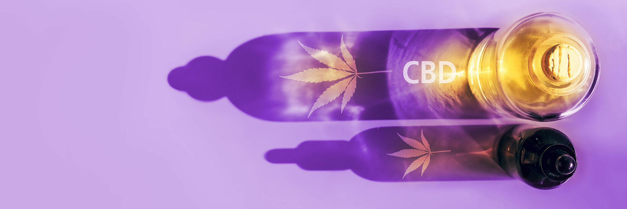 Natural Dragonfly Wellness