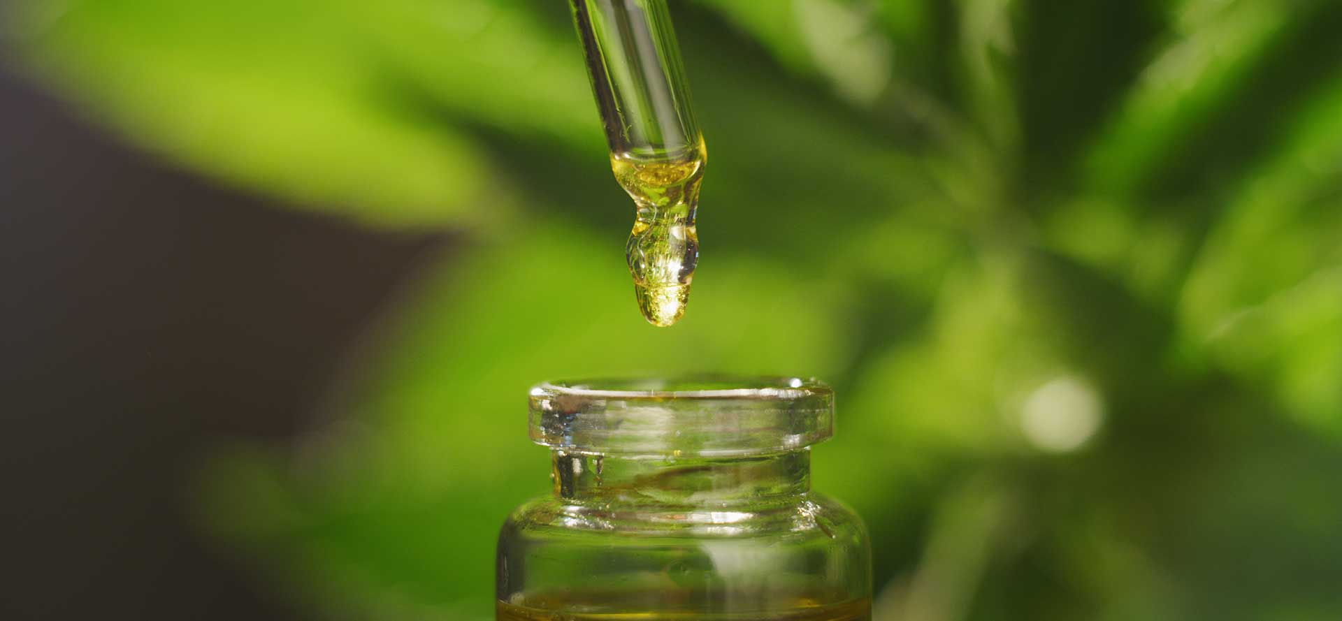 Natural Dragonfly Wellness