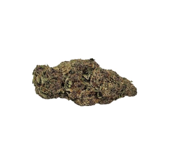 EXOTIC FLOWER Jungle Gelato (Indica/Hyb)