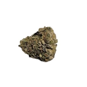 EXOTIC FLOWER Biscotti Sherbet (Hybrid)