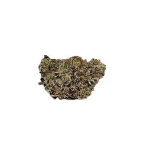 EXOTIC FLOWER Sunset Sherbet (Indica Hyb)