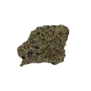 EXOTIC FLOWER Biscotti Sherbet (Hybrid)