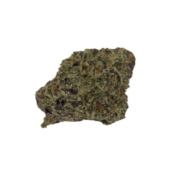 EXOTIC FLOWER Biscotti Sherbet (Hybrid)