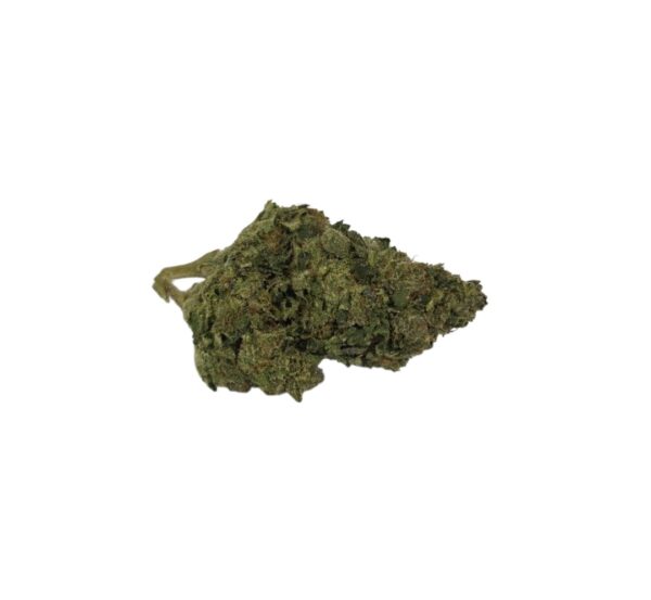 EXOTIC FLOWER Wonder Bread (Sativa Hyb)