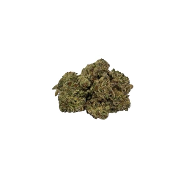 DIOR (Indica)