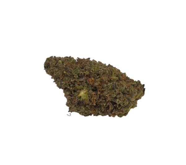 Tropicana (Sativa)