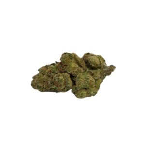 LEMON CHERRY GELATO (Hybrid)