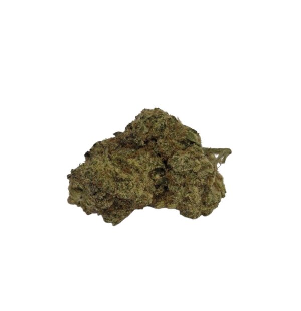 CHERRY COSMO (Hybrid)