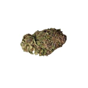 LEMON CHERRY GELATO (Hybrid) New Harvest