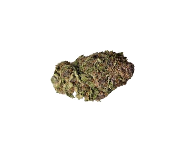 LEMON CHERRY GELATO (Hybrid) New Harvest