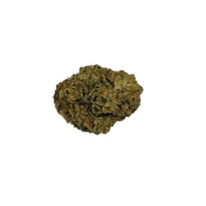 EXOTIC FLOWER Biscotti 14 (Hybrid)