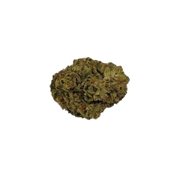 EXOTIC FLOWER Biscotti 14 (Hybrid)
