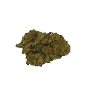 EXOTIC FLOWER Sherb BX1 (Indica Hyb)