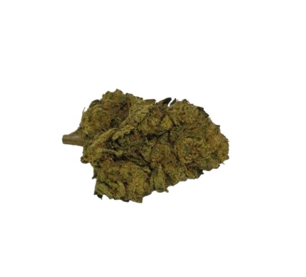 EXOTIC FLOWER Sherb BX1 (Indica Hyb)