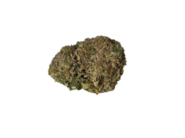 RUNTZ (Hybrid)