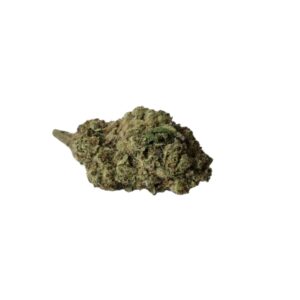 FUNNEL CAKE (Hybrid)