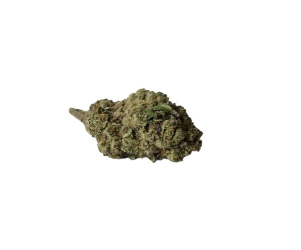 FUNNEL CAKE (Hybrid)