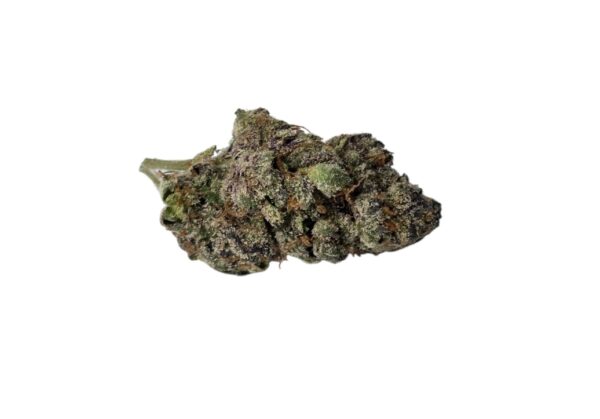 CHERRY SANGRIA (Indica)