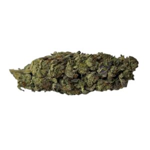 JET FUEL GELATO (Indica)
