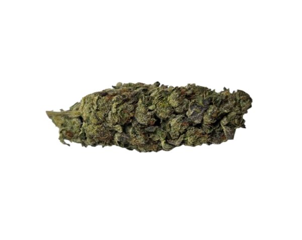 JET FUEL GELATO (Indica)