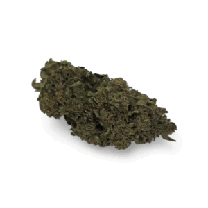 STRAWBERRY GUAVA (Sativa)