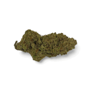 RAINBOW RUNTZ (Hybrid)