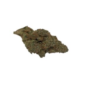 ORANGE PUSH POP (Indica)