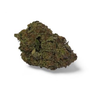 ICE CREAM CAKE (Indica)