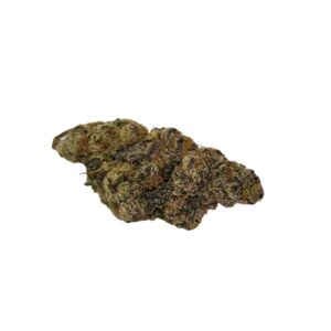 APPLE FRITTER (Hybrid)