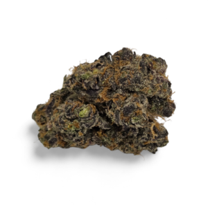 APPLE FRITTER (Hybrid)