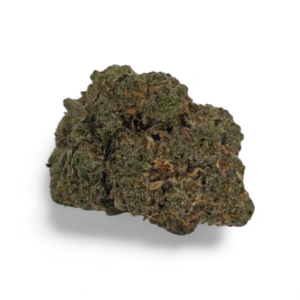 GARY PAYTON (Hybrid)