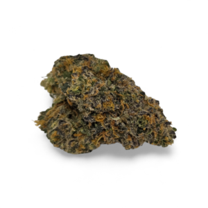 CHERRY COSMO (Hybrid)