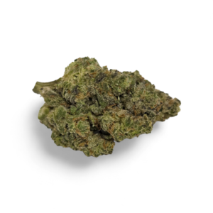 MANGO MINTALITY (Sativa)