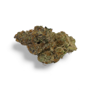 CHEETAH PISS (Hybrid)