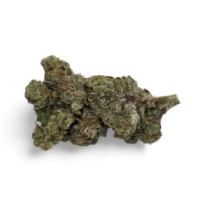 JET FUEL GELATO (Hybrid)