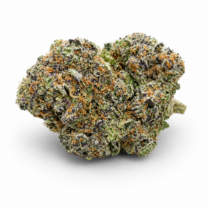 PURPLE VOODOO (Hybrid)