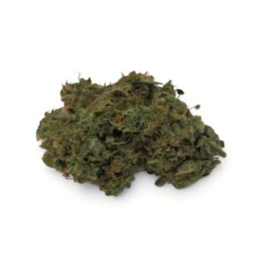 ALASKAN THUNDER FUCK (Sativa)