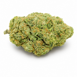 PIPE DREAM (Sativa)