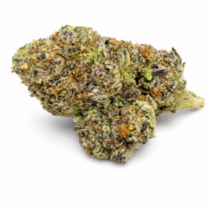 MIDNIGHT PURPLE (Hybrid)