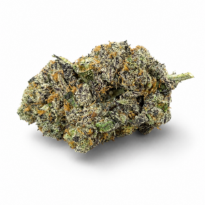 ORANGE APRICOT MAC (Hybrid)