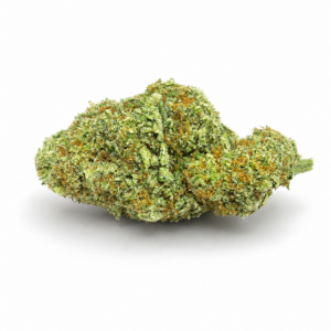 PAPAYA (Indica)
