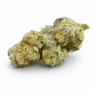 PURPLE SNOOP (Indica)