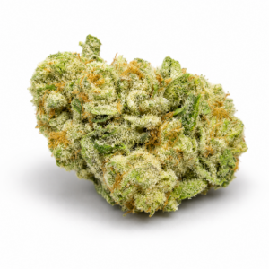 PURPLE SPLASH (Hybrid)