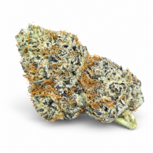 STREET RUNTZ (Hybrid)