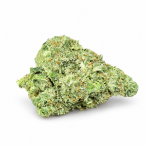CINDERELLA 99 (Sativa)