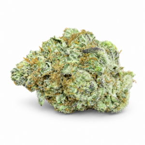 SOUR WIFI COOKIES (Hybrid)